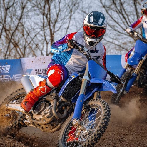 mx250 (4)